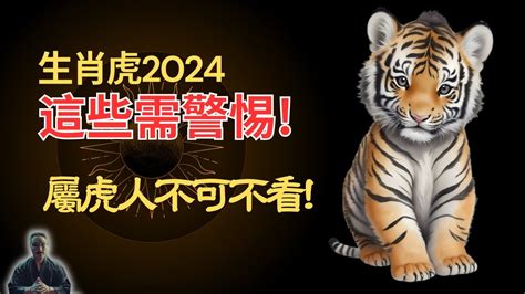 24歲屬虎|2024屬虎幾歲、2024屬虎運勢、屬虎幸運色